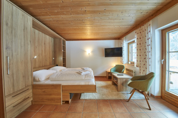 Living room/Bedroom